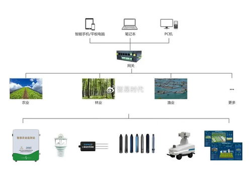 智易時代高標準農(nóng)田工程設施智能化管護系統(tǒng)建設方案